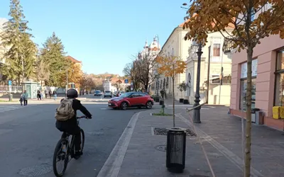 90 de coșuri stradale anti-vandalizare, montate în Oradea