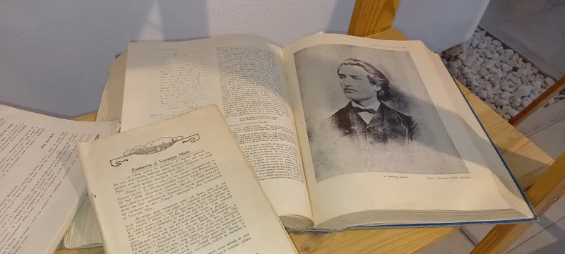 Ziare și cărți istorice, la un click distanță