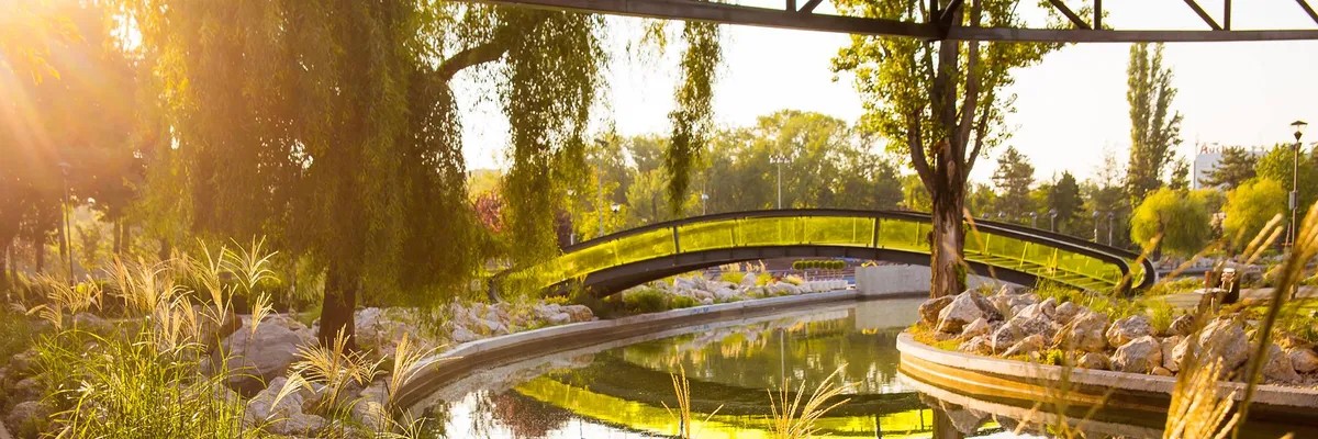 PRIMĂRIA SECTORULUI 6 BUCUREȘTI