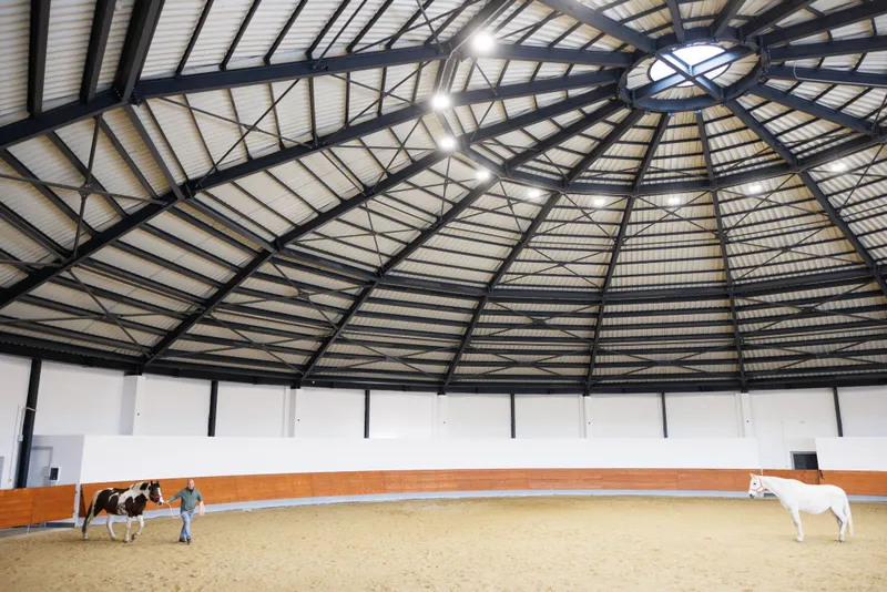 Premieră pentru România, în Maramureș! Primii copii cu nevoi speciale s-au înscris ieri la Althera, unicul centru de terapii alternative din țară