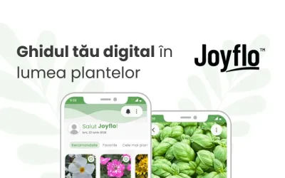 Joyflo - Ghidul tău digital în lumea plantelor