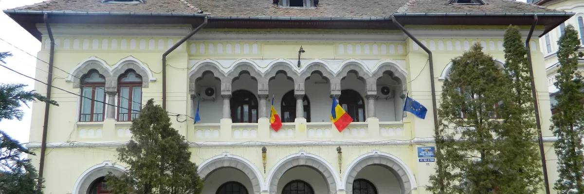 PRIMĂRIA CĂLIMĂNEŞTI