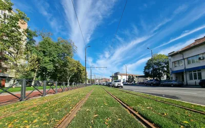A început înierbarea liniei de tramvai din coridorul  Nufărul-Cantemir