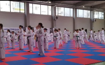 Demonstraţie de taekwon-do în Piața Arras din Deva