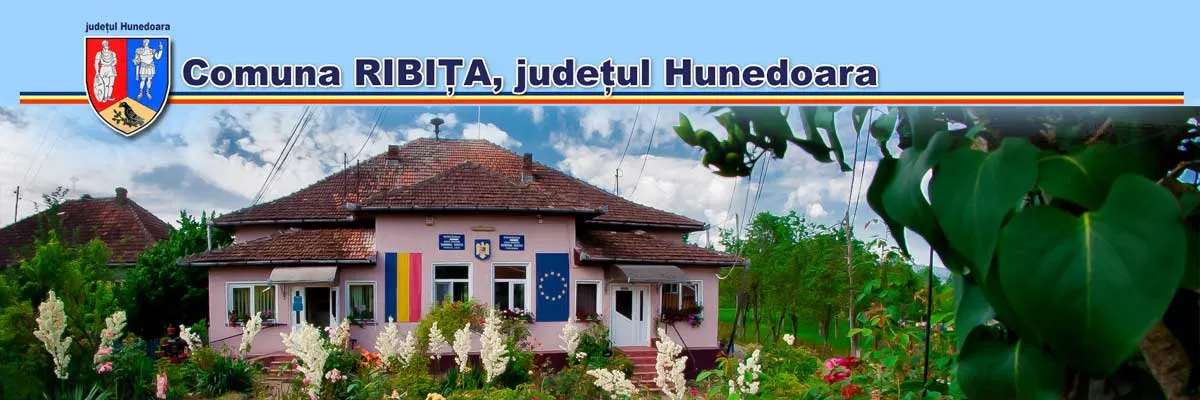 PRIMĂRIA RIBIŢA