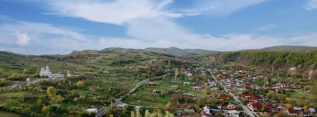 PRIMĂRIA POIANA CRIŞTEI