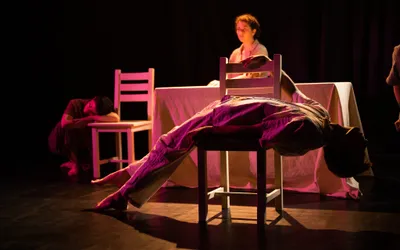 O poveste despre familie va fi dansată de actorii bulgari la  Petroșani