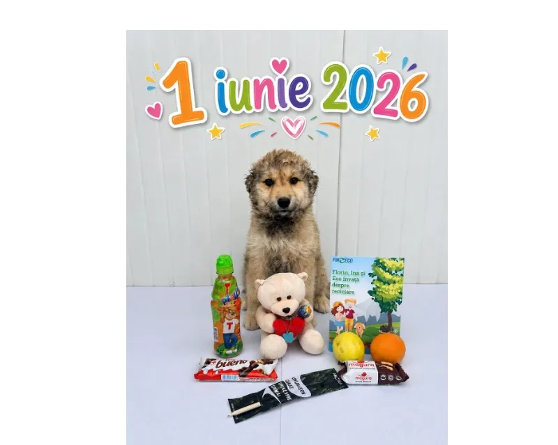 De Ziua Copilului, FIN-ECO și Asociația Milioane de Prieteni au organizat un eveniment dedicat adopției responsabile și educației pentru mediu