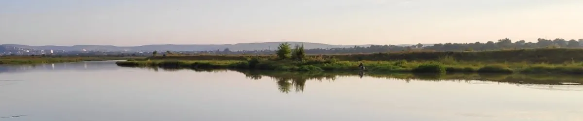 PRIMĂRIA DUMBRAVA ROŞIE