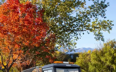 Autoutilitara comunala pur electrica Melex