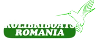 KOLIBRIBOATS SRL