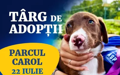 Târg de adopții pentru căței – 22 iulie, Parcul Carol I