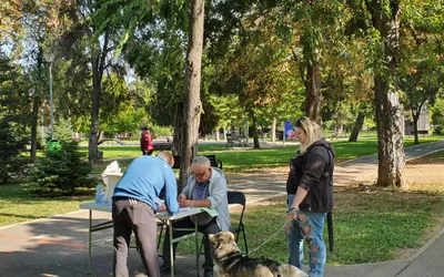 Fii stăpân responsabil, microcipează-ți câinele! Te costă doar 5  minute