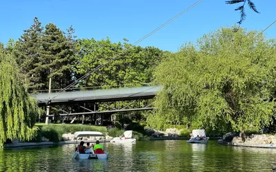 Cinema pe lacul din Parcul Drumul Taberei. Vino să vezi filme din barcă sau  hidrobicicletă!