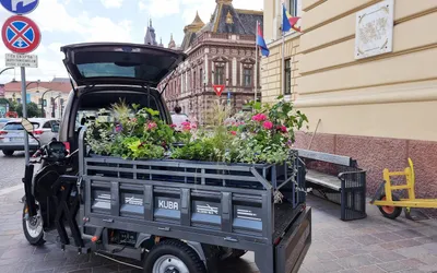 Oradea in Bloom – compoziții florale și ghivece cu flori  suspendate în zona centrală