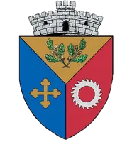 PRIMĂRIA SCHITU GOLEŞTI