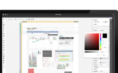 REPORT DESIGNER