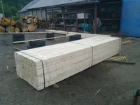 RAPID FOREST SRL