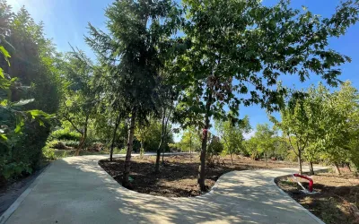 Grădina publică urbană din Cartierul Europa prinde contur