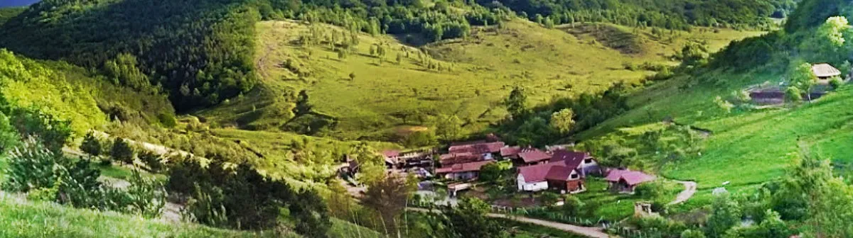 PRIMĂRIA MIRĂSLĂU