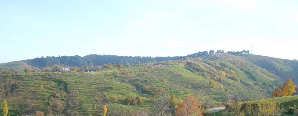 PRIMĂRIA GHINDĂOANI