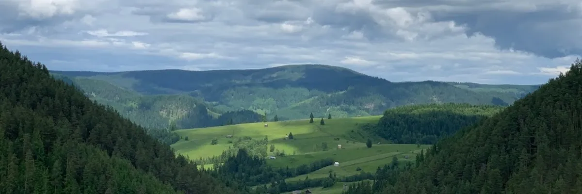 PRIMĂRIA MOLDOVA SULIŢA