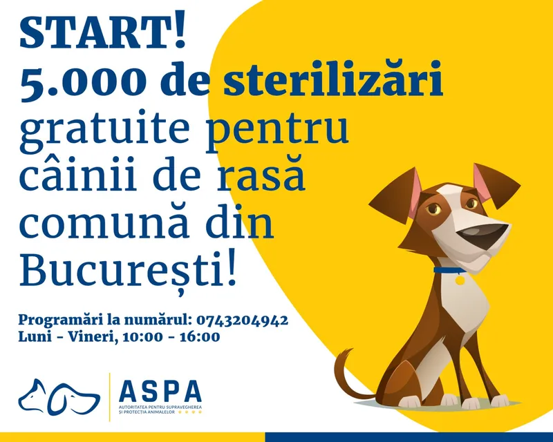 Începe campania de șterilizare gratuită a 5.000 de căței cu deținător