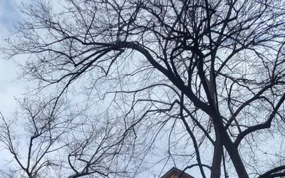 Imobilul din Intrarea Alexandru Macedonski, nr. 10, Sector 1, București va fi consolidat și restaurat cu finanțare din PNRR Componenta 5 – Valul Renovării