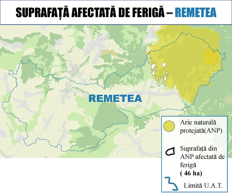 Contracte semnate pentru combaterea ferigii în cinci comune din județul Bihor