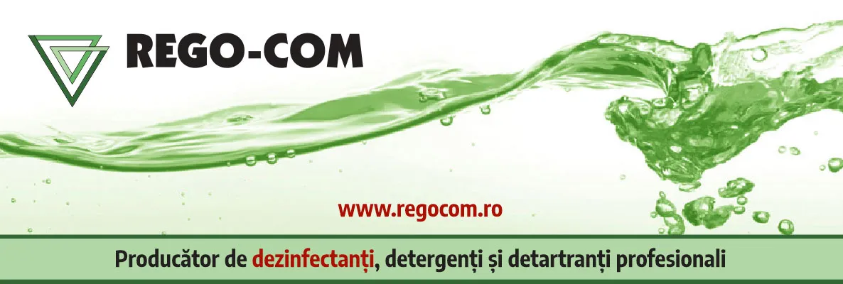 REGO COM SRL