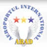 AEROPORTUL INTERNATIONAL ARAD