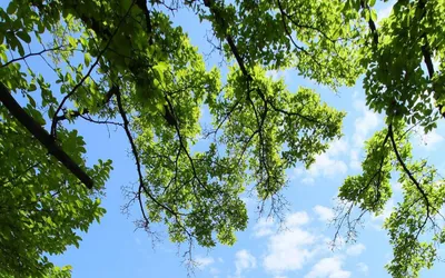 Cu prilejul sărbătoririi Zilei Independenței Naționale a României și Zilei Europei, Primăria Municipiului Turda, organizează o ceremonie publică