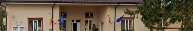 PRIMĂRIA OLTINA