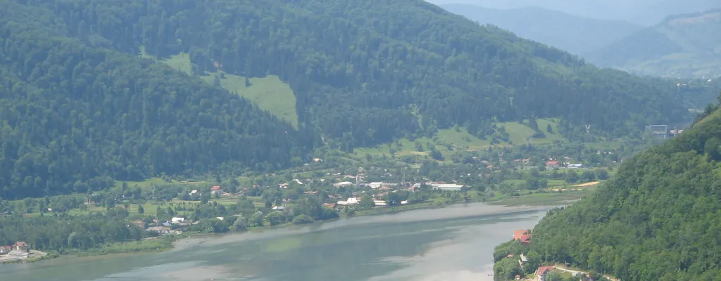 PRIMĂRIA ALEXANDRU CEL BUN