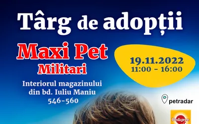 Un nou târg de adopții pentru căței organizat de ASPA