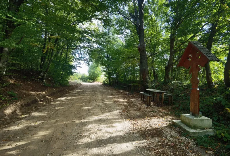 Iustin Cionca: ”Am câștigat finanțarea pentru Drumul Regelui!”