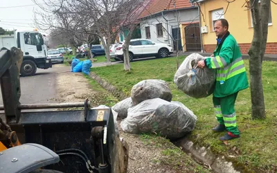 Orădenii de la case și blocuri se pot debarasa gratuit de materialul vegetal în cadrul campaniei de curățenie derulată de  Primăria Oradea