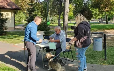 Orădenii deținători de câini nemicrocipați aparținând rasei comune  sunt așteptați la cabinetele veterinare