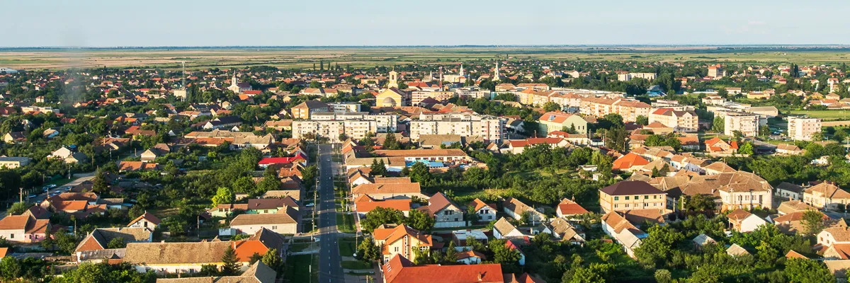 PRIMĂRIA SÂNNICOLAU MARE