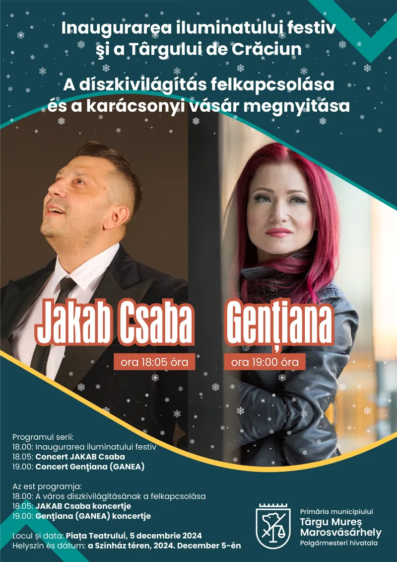 Inaugurarea iluminatului festiv la Târgu Mureș