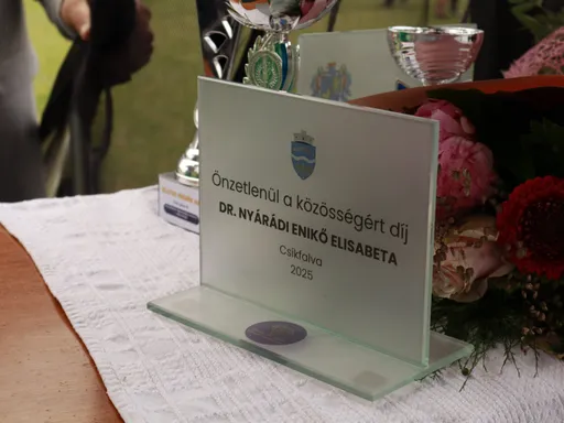 Ziua Comunei - 2025