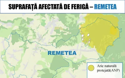 Contracte semnate pentru combaterea ferigii în cinci comune din județul Bihor