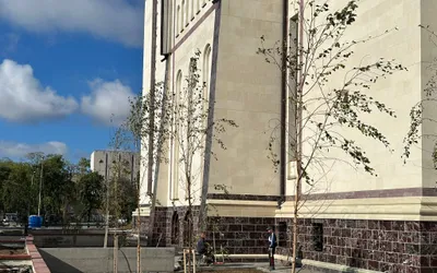 Piața Emanuil Gojdu: au început plantările de arbori deasupra  rețelei de pasaje