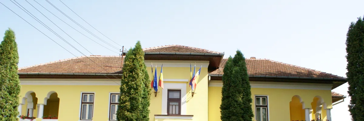 PRIMĂRIA BALSA