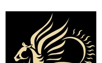 PEGASUS TRAVEL SRL