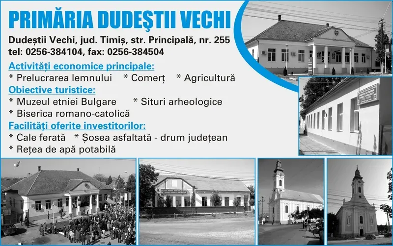 PRIMĂRIA DUDEŞTII VECHI