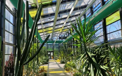 Serele exotice din Parcul Drumul Taberei. Singurele locuri din București unde e vară tot anul