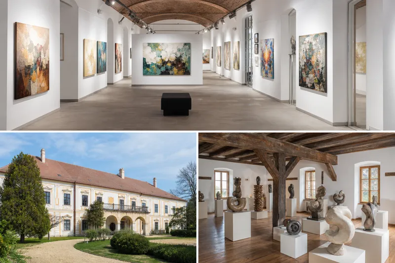 Program cultural al Consiliului Județean Timiș pentru 5–11 octombrie: vernisaje, expoziții și lansare de carte