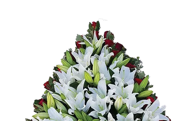 ARANJAMENTE FLORALE – COROANE FUNERARE