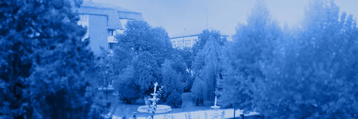 PRIMĂRIA DRĂGĂNEŞTI OLT